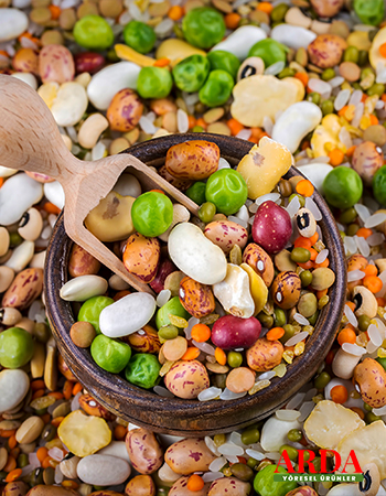 Serdar Arda - hizmetlerimiz - 02