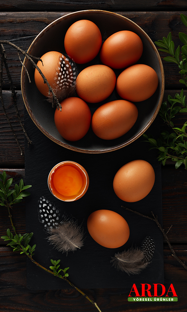 Serdar Arda - RESİMLER - 03